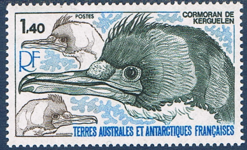 Timbre T.A.A.F. des Terres Australes et Antarctiques Françaises, 1978 Réf Yvert & Tellier N° 78 neuf. Description: Cormoran de Kerguelen.