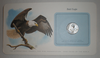 Carte lettre aux oiseaux du monde. Pièce  Bald  Eagle  United States of América. année 1980. Lot N°42.
