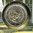 Enveloppe numismatique Vatican 2009 année Saint Paul
