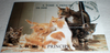 Bloc feuillet, Timbres thématiques chats, neufs, oblitérés avec trace de charnière. Lot N°217.