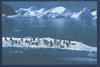 Entiers postaux et Prêt -à-poster des T.A .A.F.  Terres australes et antarctique Françaises, 1991 Réf Yvert & Tellier N°1CP  Description:  Hommage à L' amiral Max Douguet.