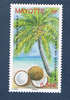Timbre poste de Mayotte émis en 2008. Réf: Yvert & Tellier. N° 209 neuf.  Descriptif: Arbre Coco et Cocotier.