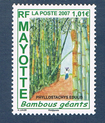 Timbre poste de Mayotte émis en 2007. Réf: Yvert & Tellier. N° 197 neuf. Descriptif: Timbre Bambous géants.
