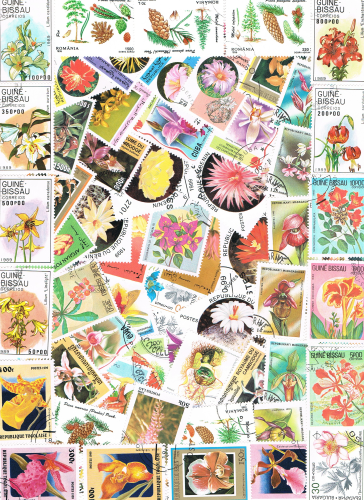 " Epuisé ".Lot de 100 timbres oblitérés de collection différents, type Flore. Descriptif: La pochette de timbres en photo est précisément l'article que vous allez recevoir.