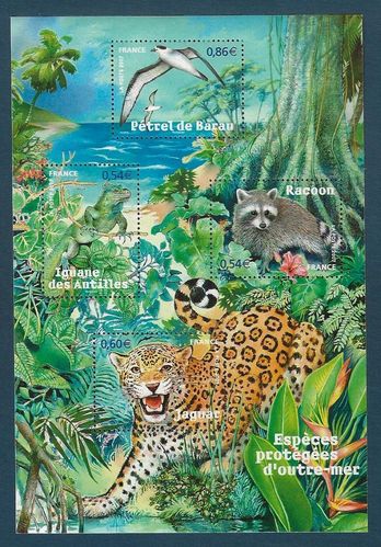 Bloc faune espèces protégées Le Jaguar de Guyane Réf 107 neuf