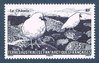 TAAF Timbre N°582 Faune Oiseau Chionis