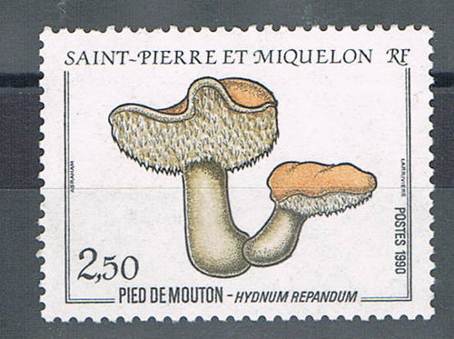 Timbre St-Pierre-et-Miquelon N°513 neuf