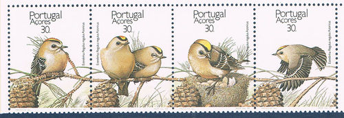 Bande 4 timbres Portugal Acores Oiseaux Protection nature