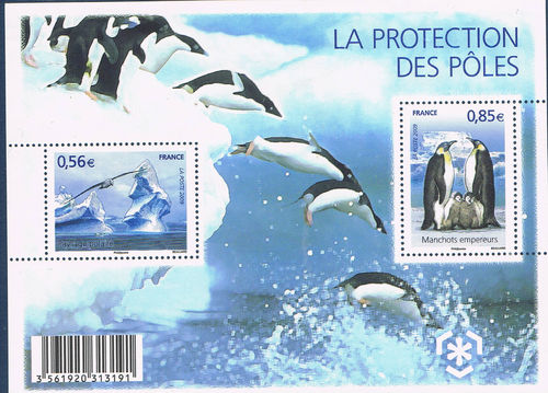 Bloc feuillet de France Glaciers N°F4350 Protection des zones polaires