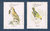 Série 4 timbres Portugal les oiseaux Bisbis Freira Pombo Trocaz