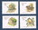 Série 4 timbres du Portugal Madeira Oiseaux Pordal da Terra