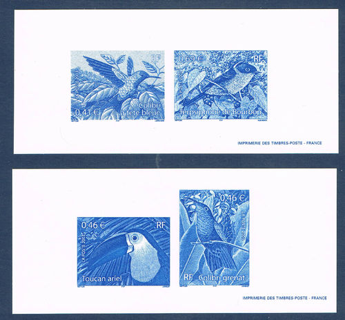 Gravures série les Oiseaux Toucan ariel-Colibri tête bleue