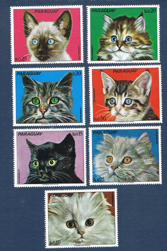 Série 7 timbres neufs du Paraguay type portraits Chats