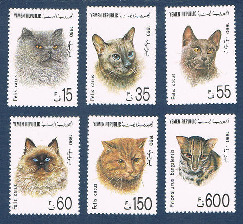Série 6 timbres du Yemen Type Chats divers Flis Catus