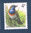 Thématique Oiseau Gorge bleue Moineau friquet Nouveau