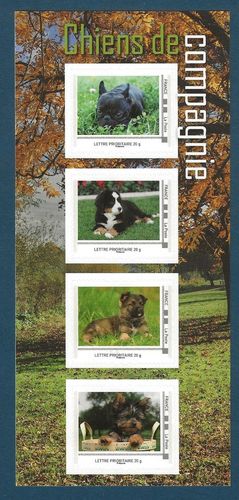 Collector Animaux Chiens de compagnie Berger Allemand