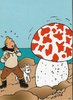 Entier Carte Hergé les aventures champignon Tintin Milou